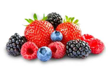 臭わ ない タバコ 銘柄 - 臭わないタバコ銘柄の製品ラインナップ