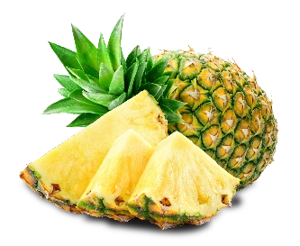 アイコス3duo コンビニ店頭ディスプレイ