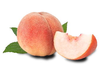 リルハイブリッド ベルベット - 専門家ガイドとレビュー